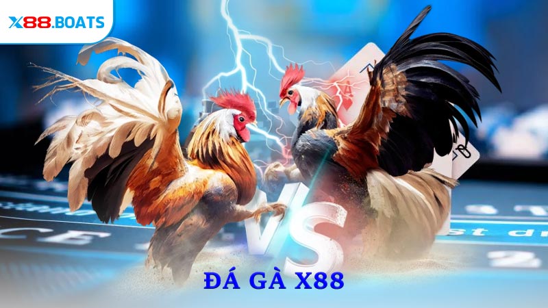 Đá gà X88
